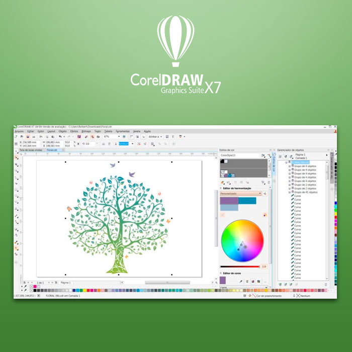 Curso Online Corel Draw Cursos Qualicare Cursos Online